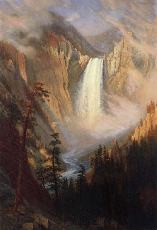 Albert Bierstadt Yellowstone Falls Spain oil painting art